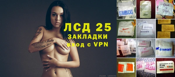 стаф Вязники