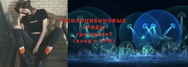 ешки Володарск