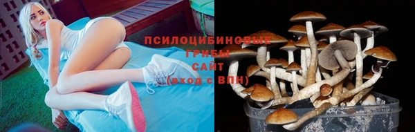 ешки Володарск