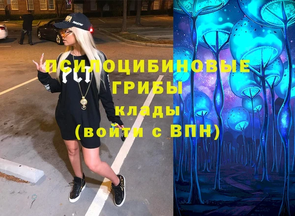 ешки Володарск