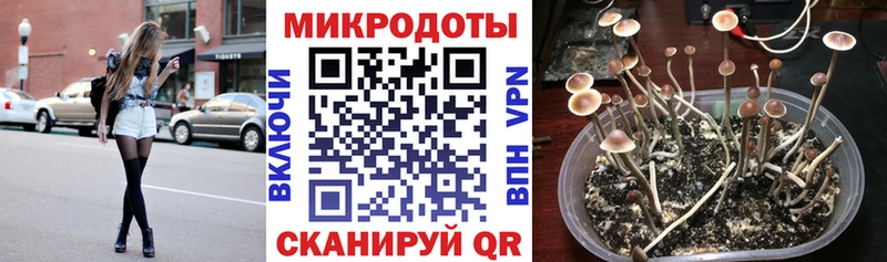 Купить закладки  Бородино  Галлюциногенные грибы прущие грибы 